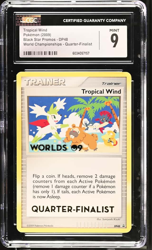 Tropical Wind