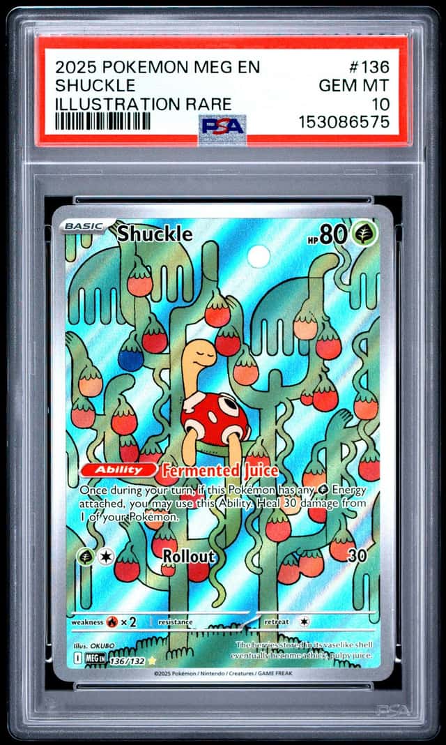Shuckle