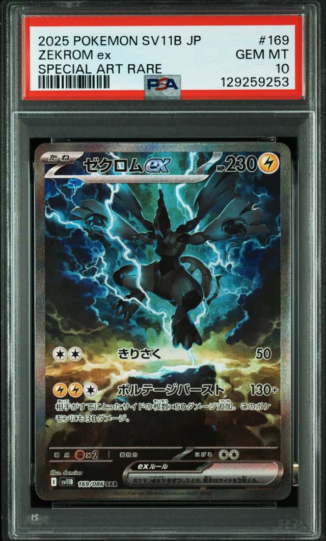 ZEKROM ex