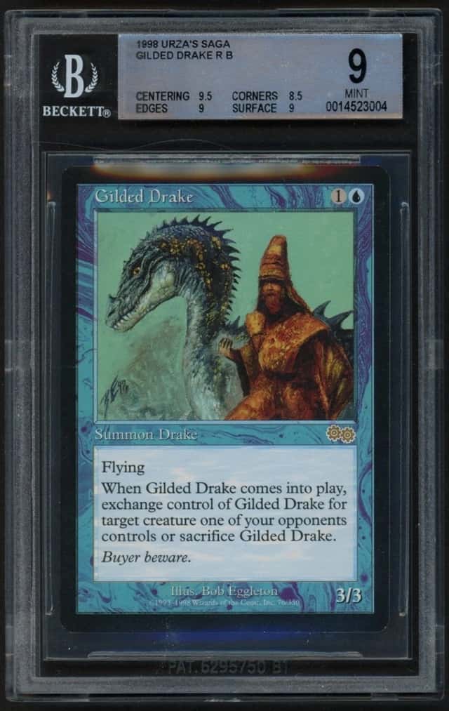 Gilded Drake