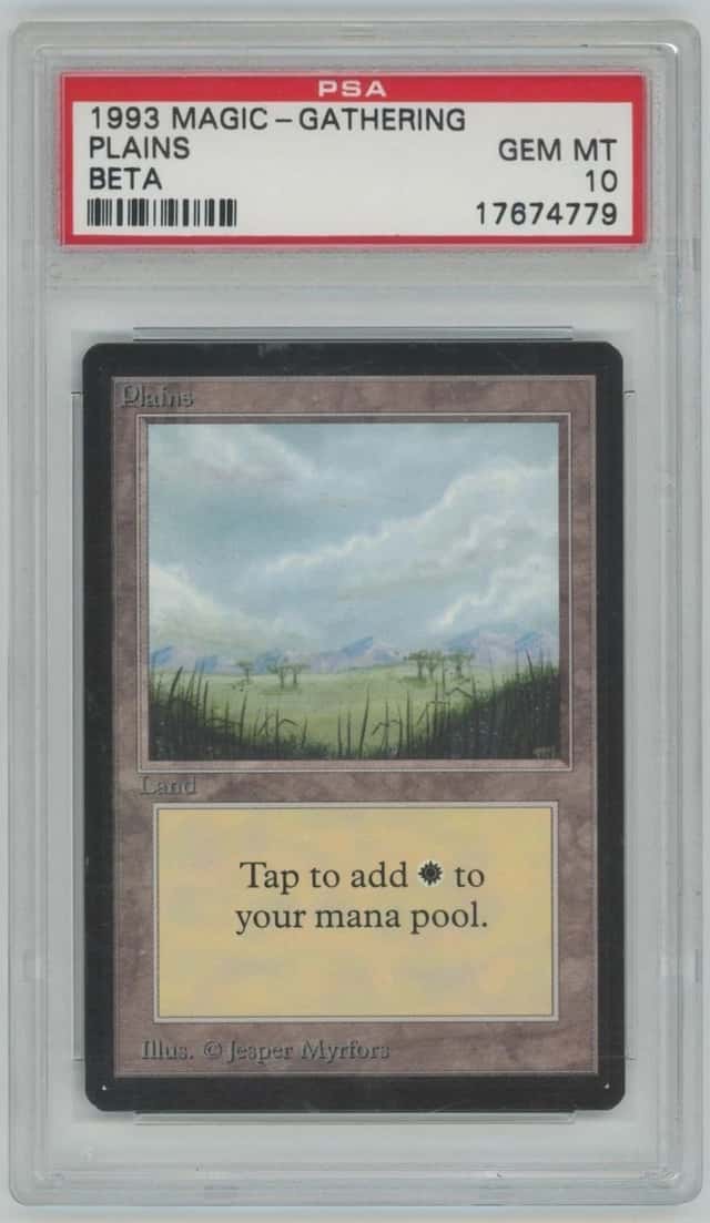 Plains