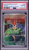 Victini