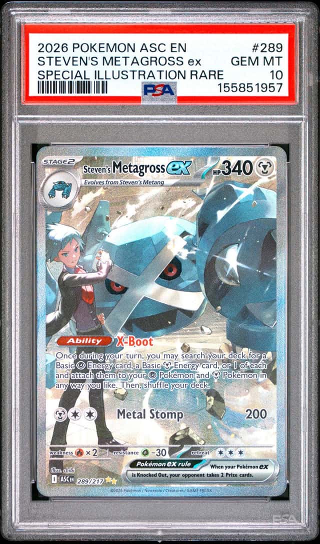 STEVEN'S METAGROSS ex