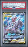 Mewtwo & Mew Gx