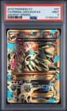 Primal Groudon Ex