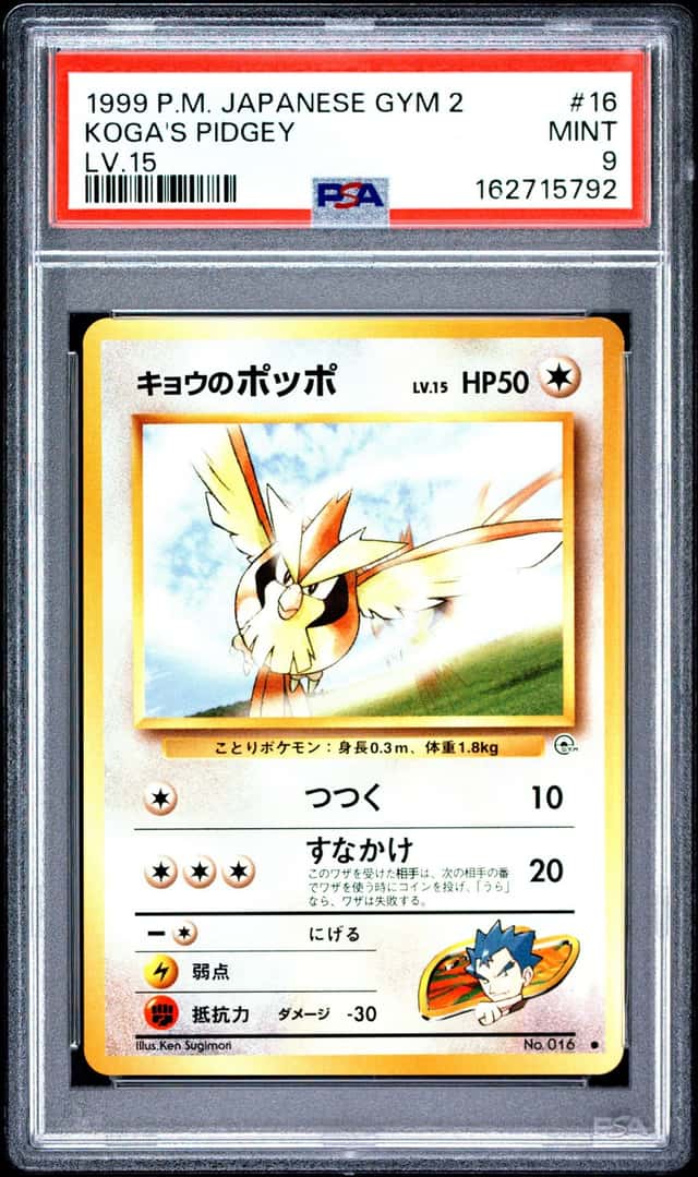 Koga's Pidgey