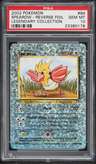 Spearow C