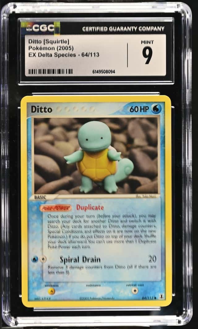 Ditto [Squirtle]
