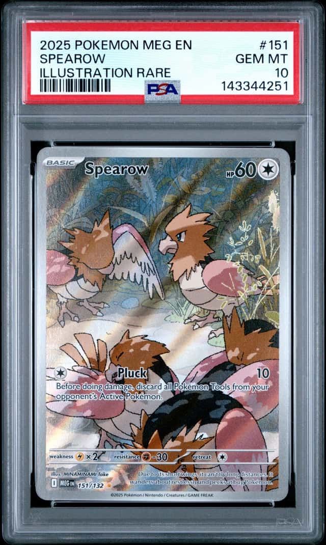 Spearow