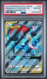Greninja & Zoroark Gx