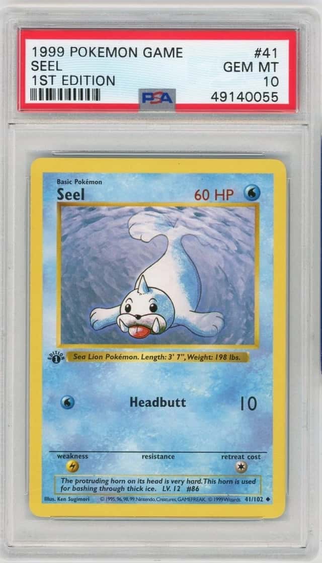 Seel