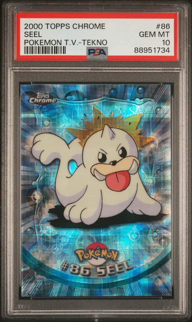 Seel