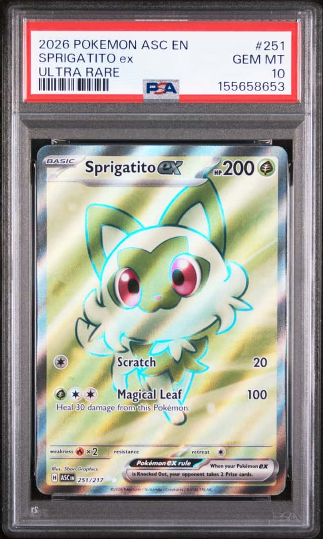 SPRIGATITO ex