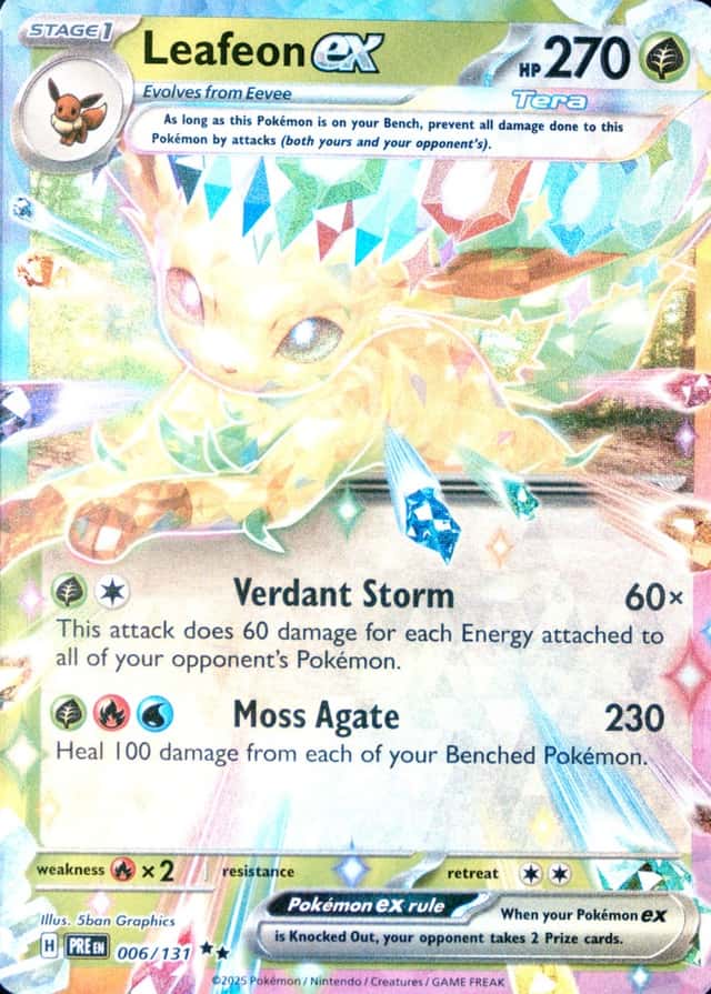 Holo