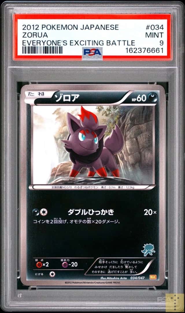 Zorua