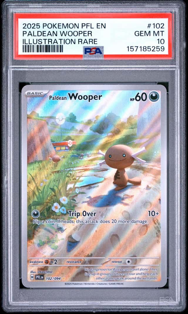 Paldean Wooper