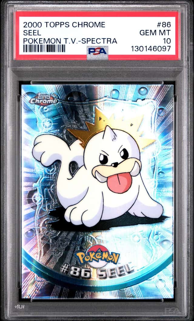 Seel