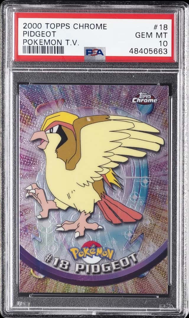 Pidgeot