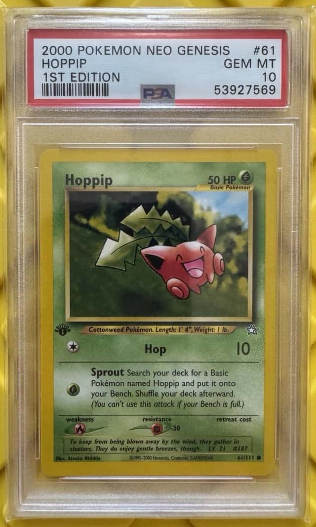 Hoppip