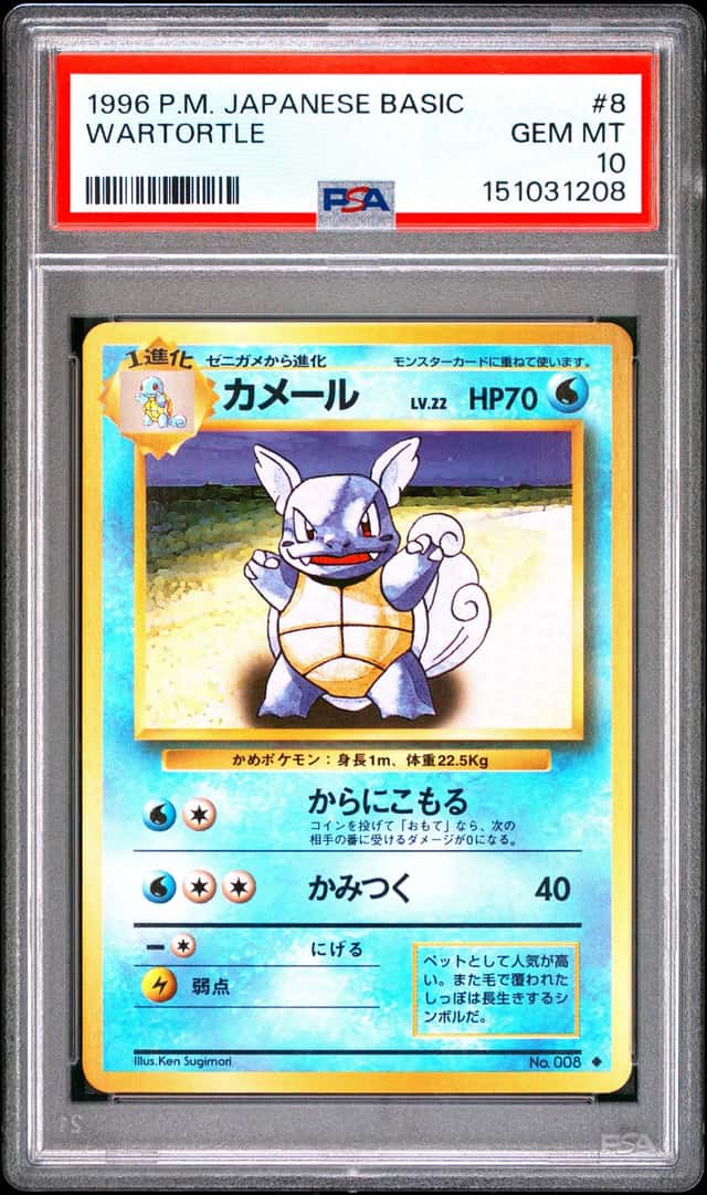 Wartortle