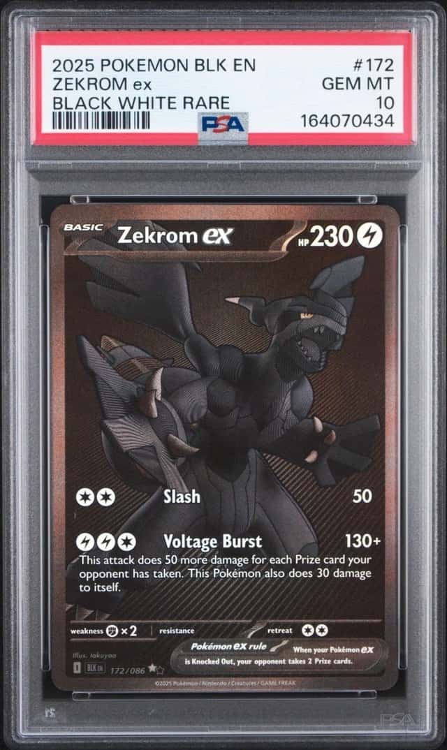 ZEKROM ex