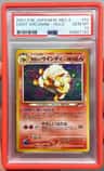 Light Arcanine