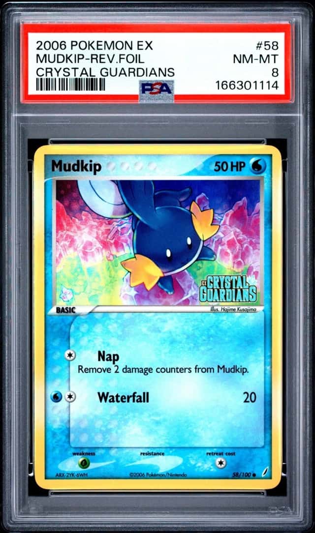Mudkip