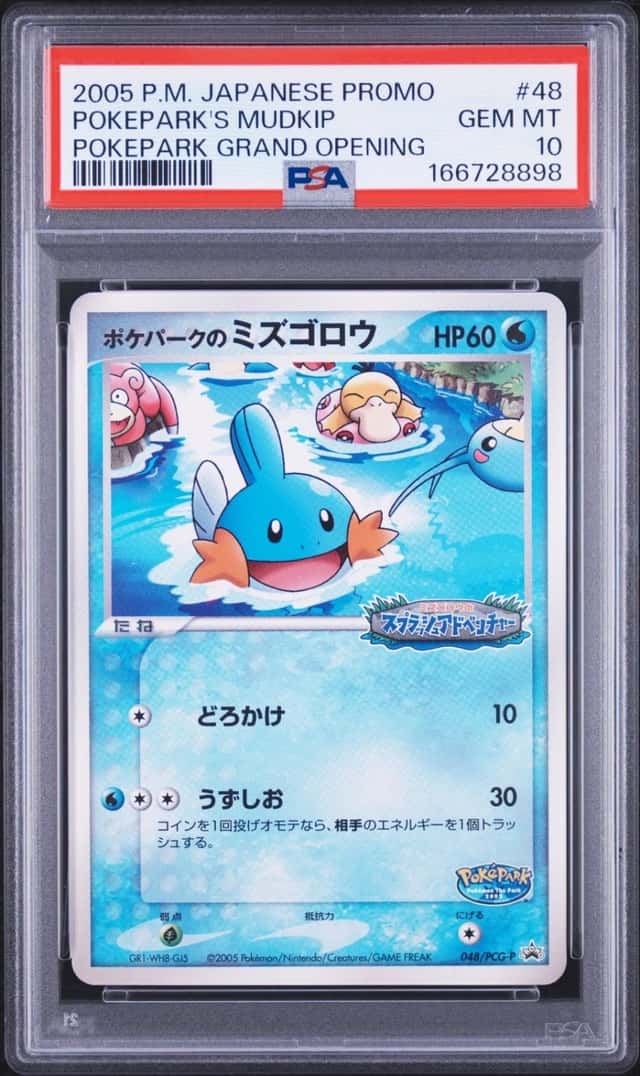 Pokepark's Mudkip