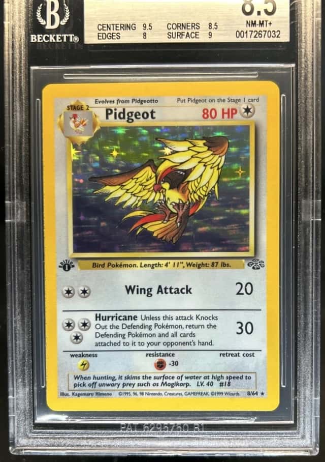 Pidgeot