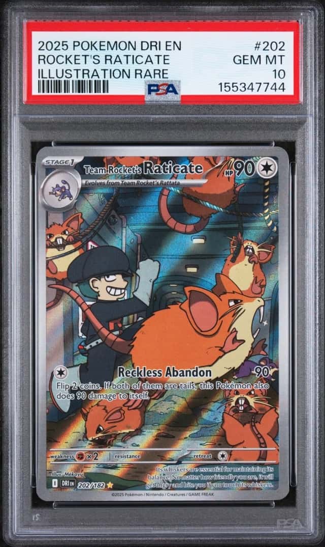 Rocket's Raticate