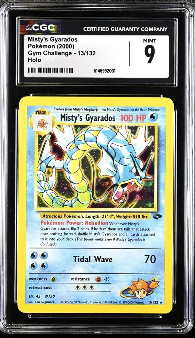 Misty's Gyarados