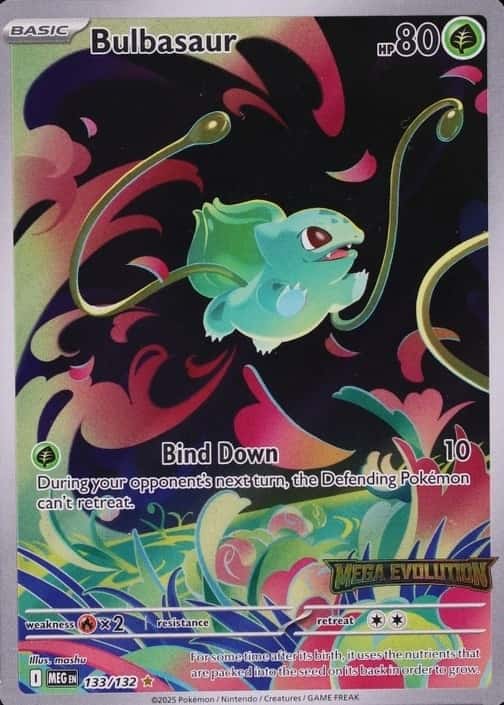 Box Topper