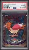 Spearow