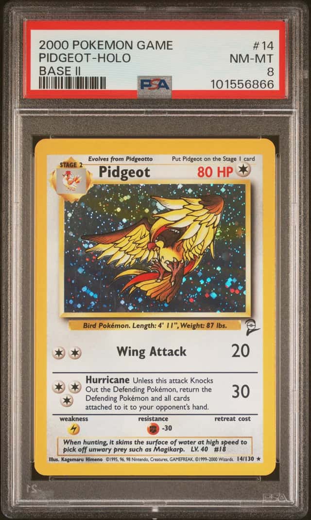 Pidgeot