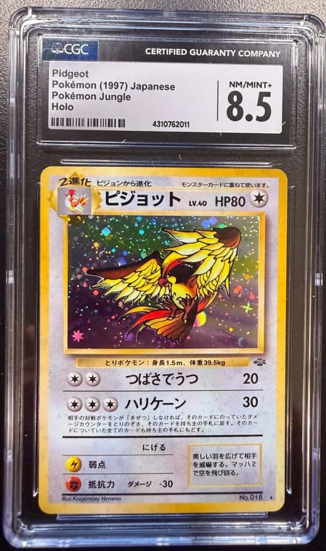 Pidgeot