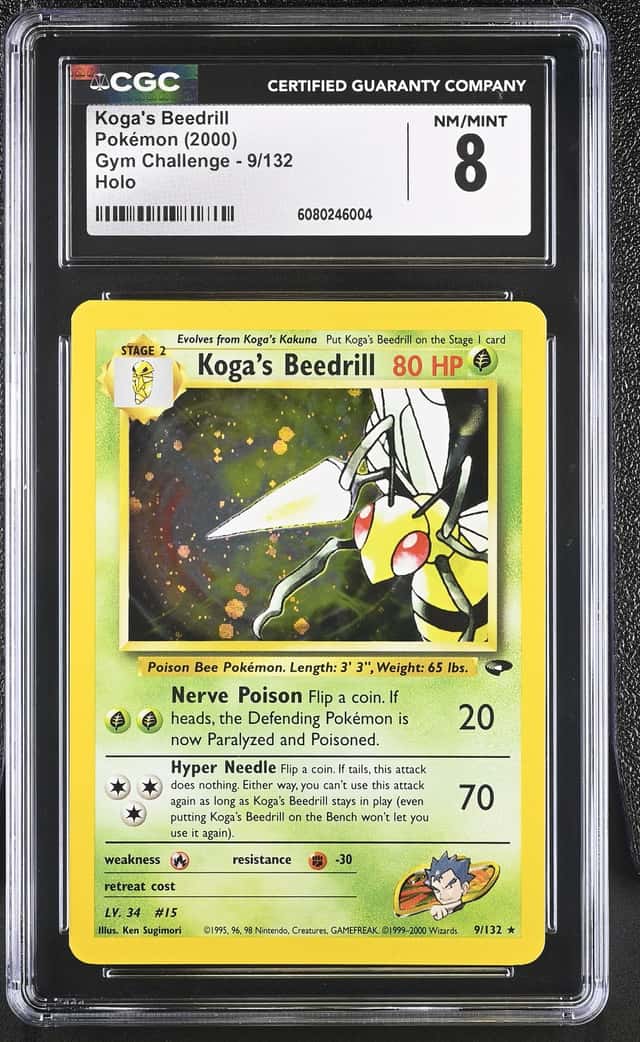 Koga's Beedrill