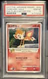 Chimchar