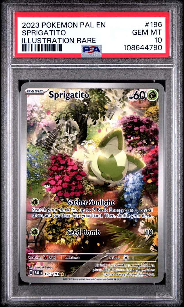 Sprigatito