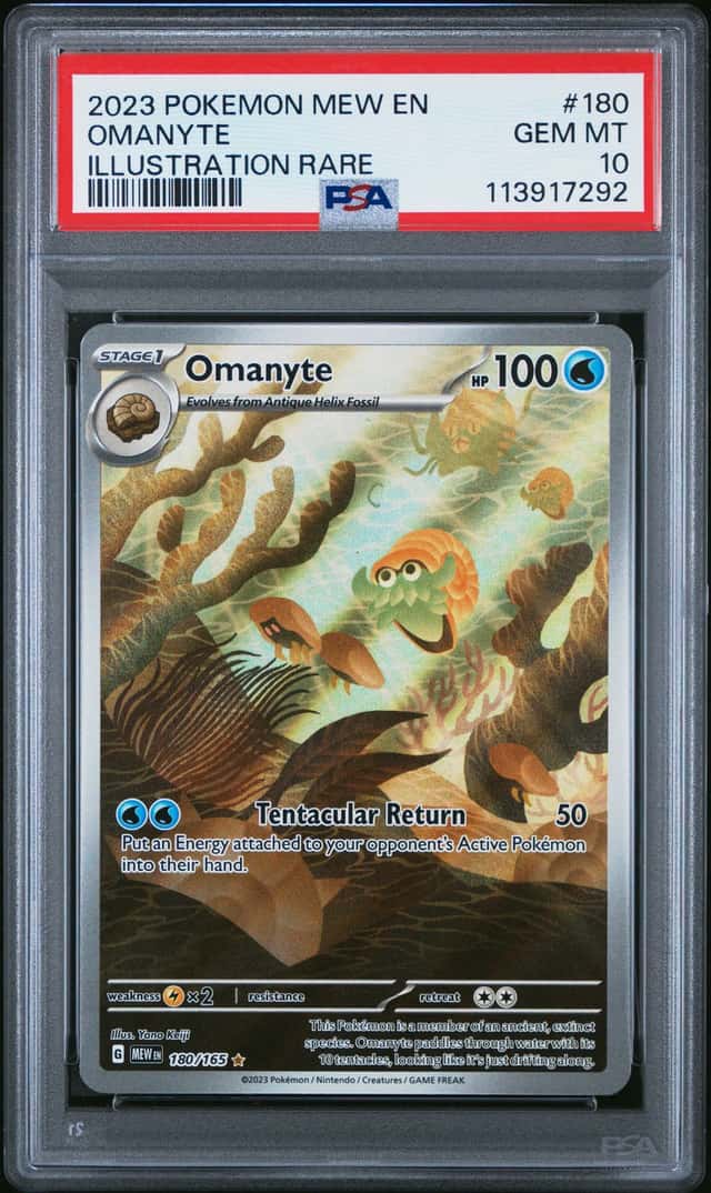 Omanyte