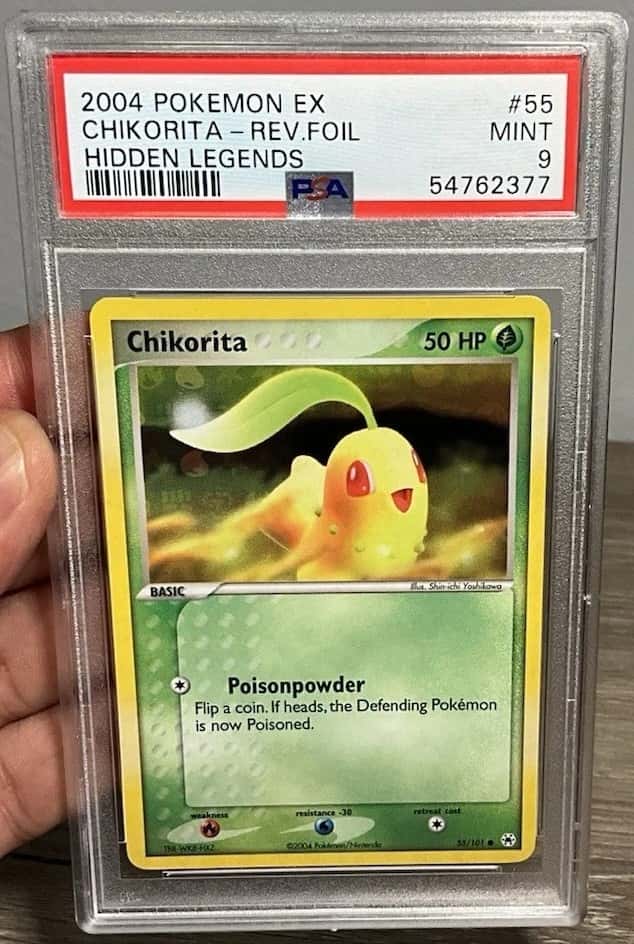 Chikorita