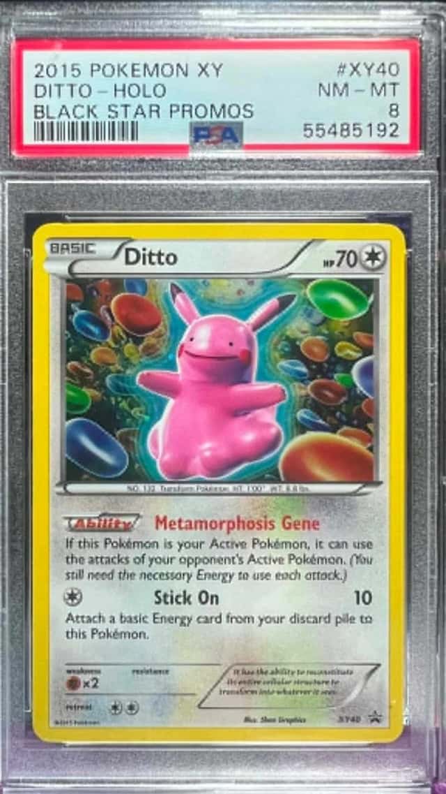 Ditto