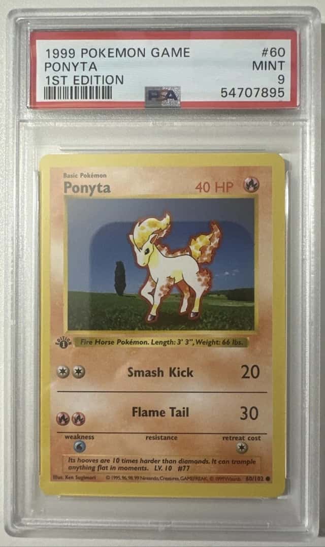 Ponyta