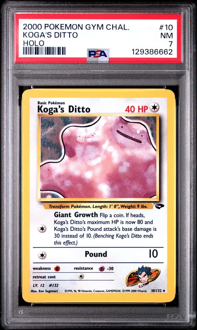 Koga's Ditto