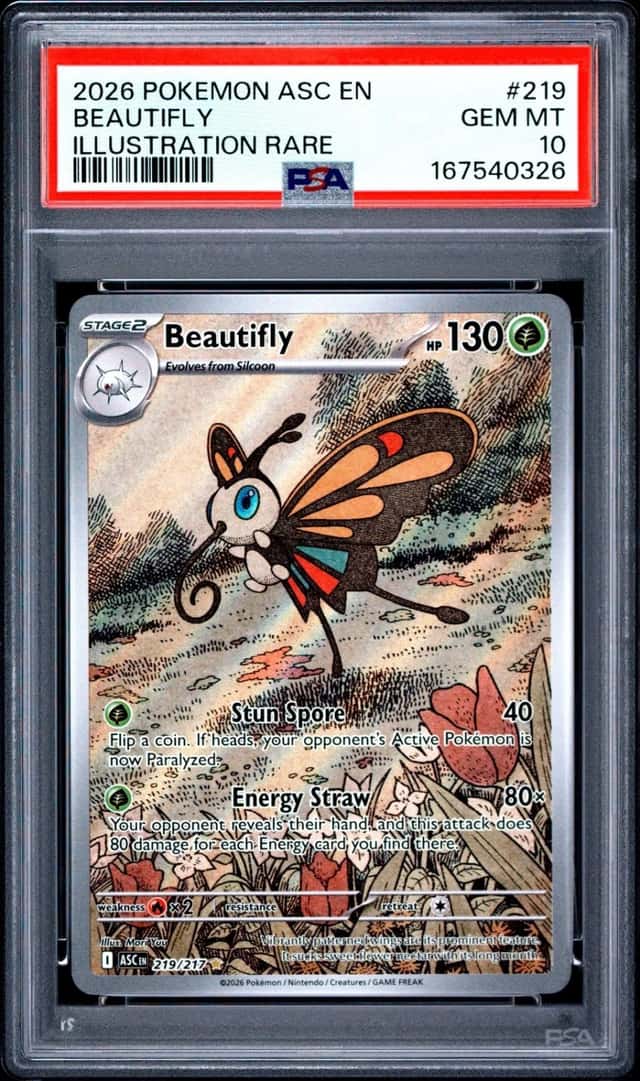 Beautifly