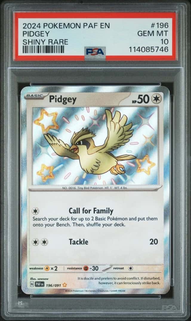 Pidgey