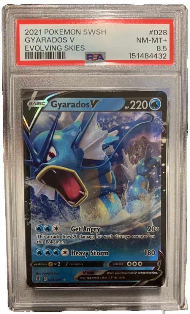 Gyarados V