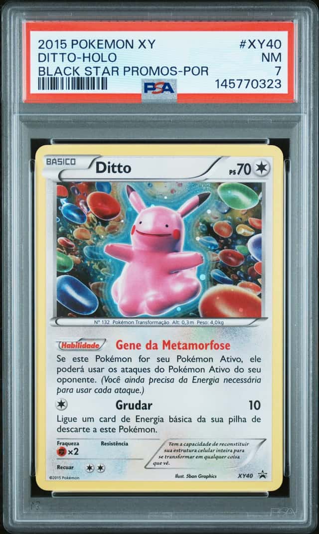 Ditto