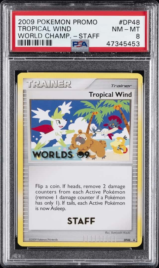 Tropical Wind