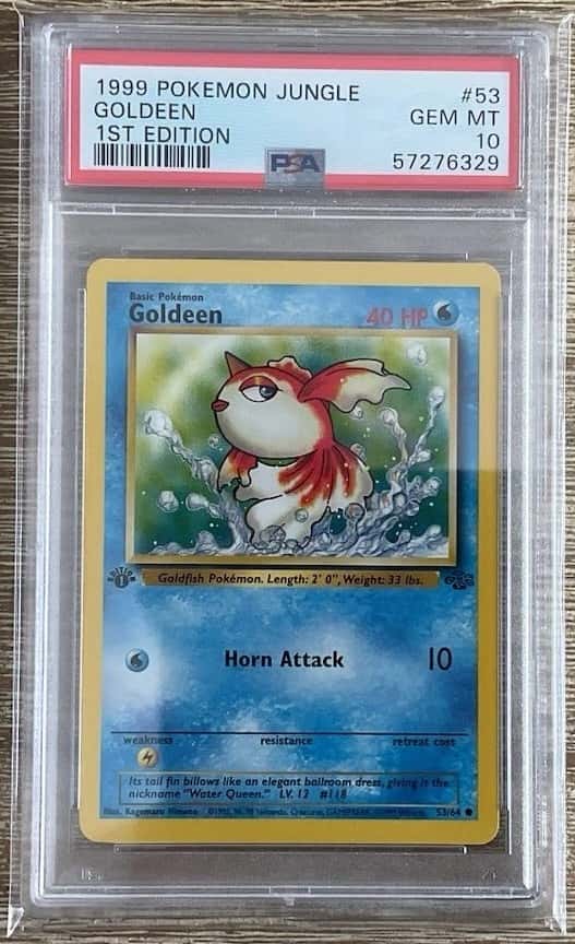 Goldeen