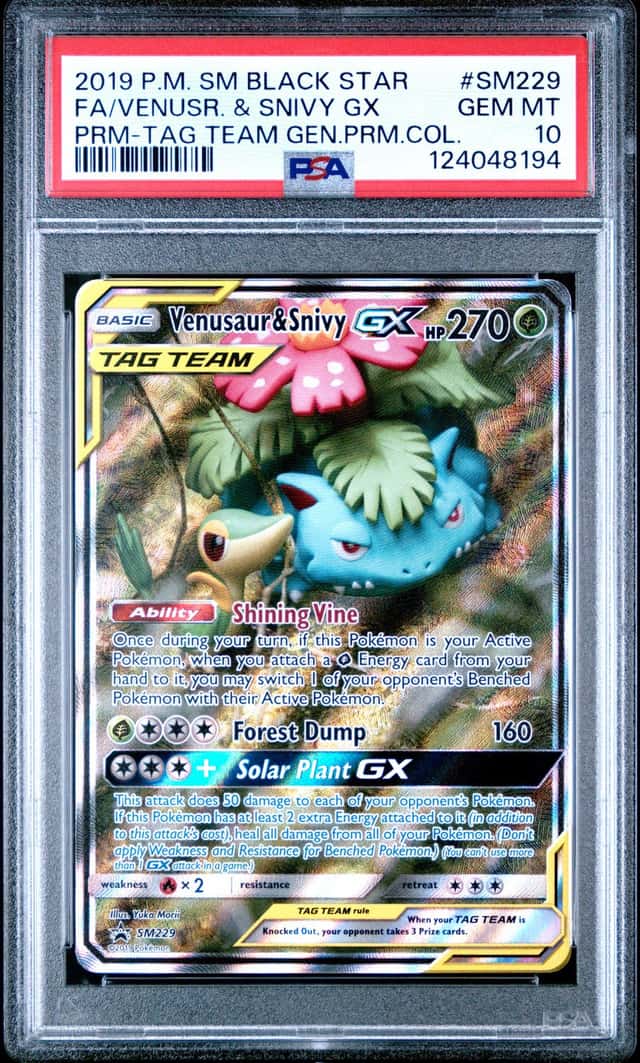 Venusaur & Snivy GX